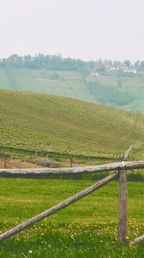 Agricultural Goods
