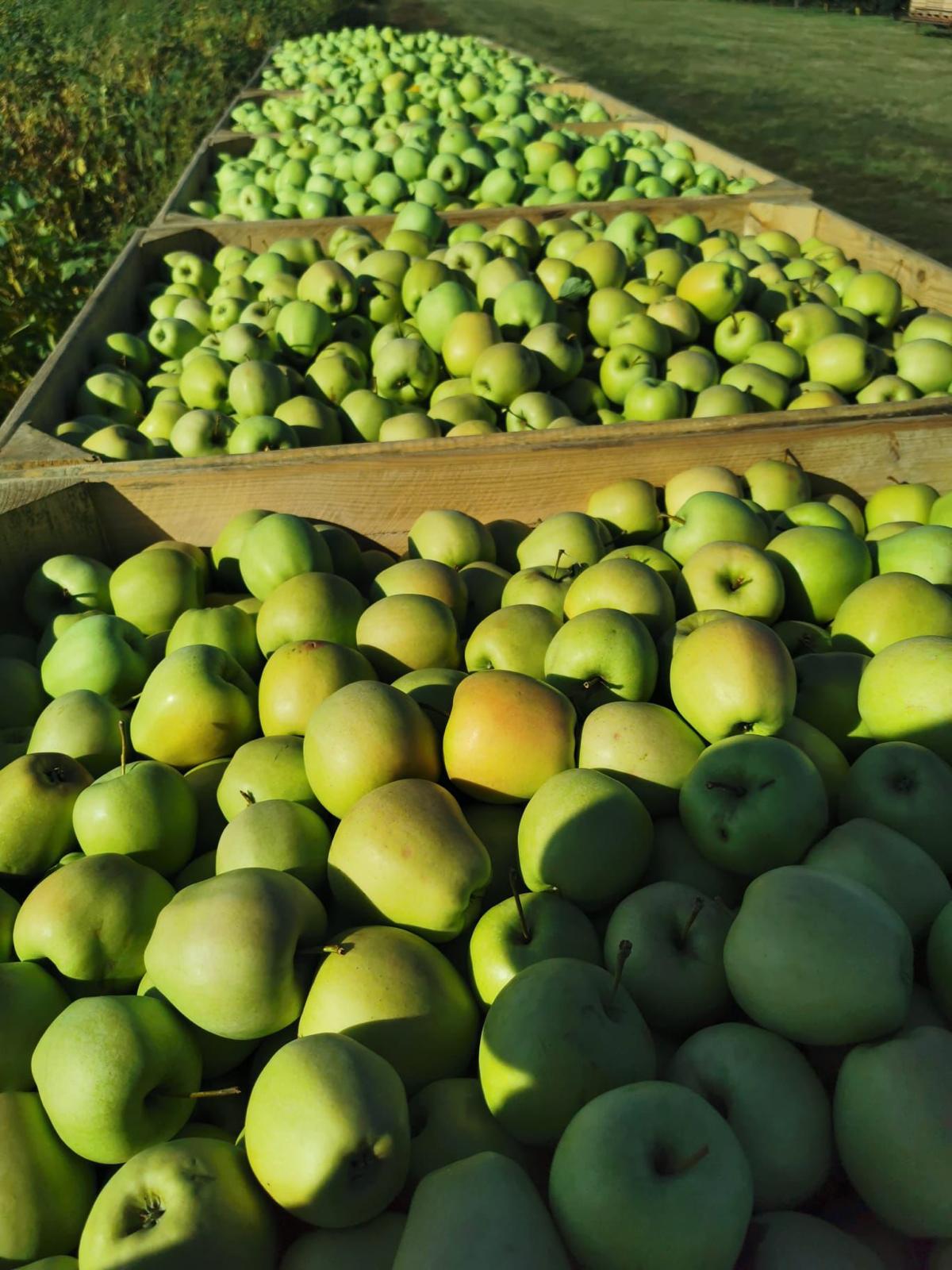Produce
