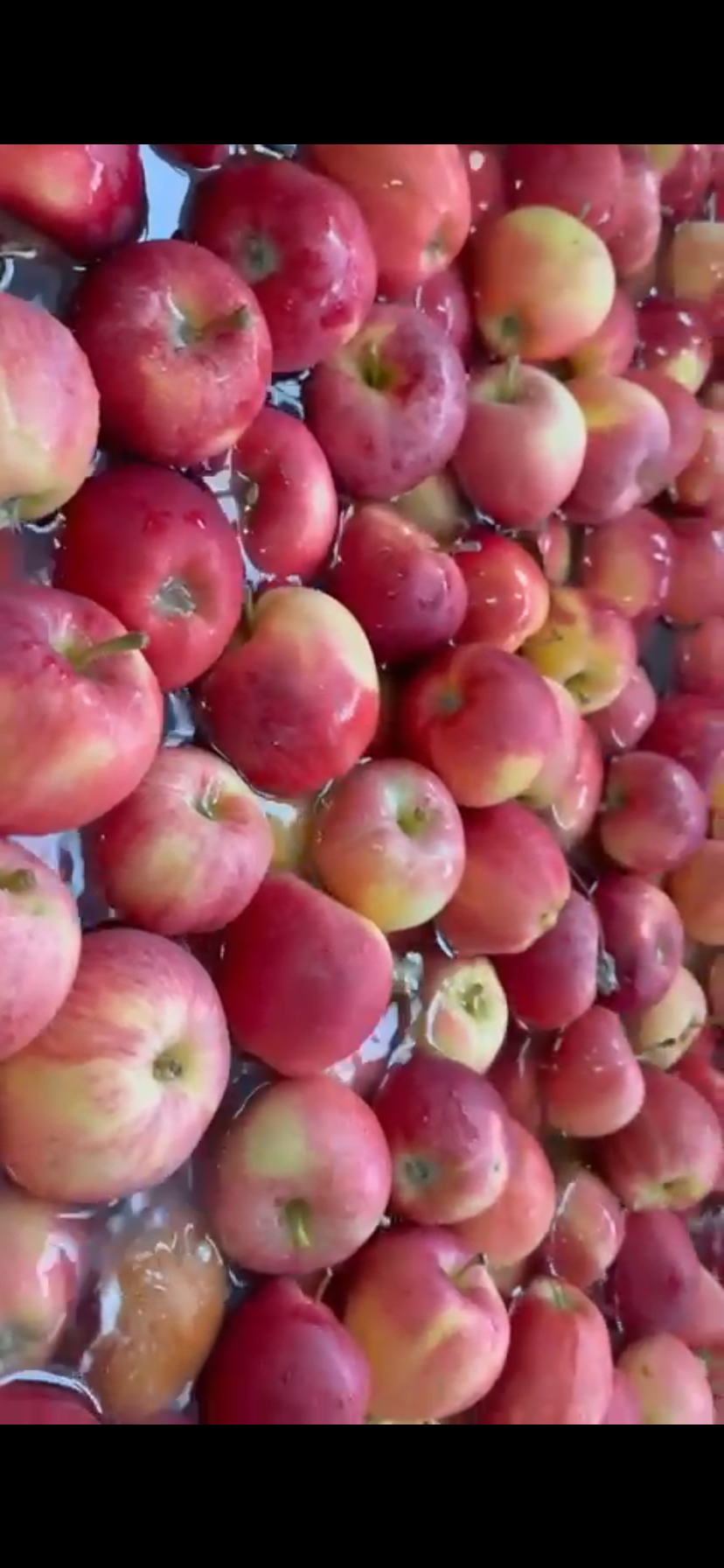 Produce