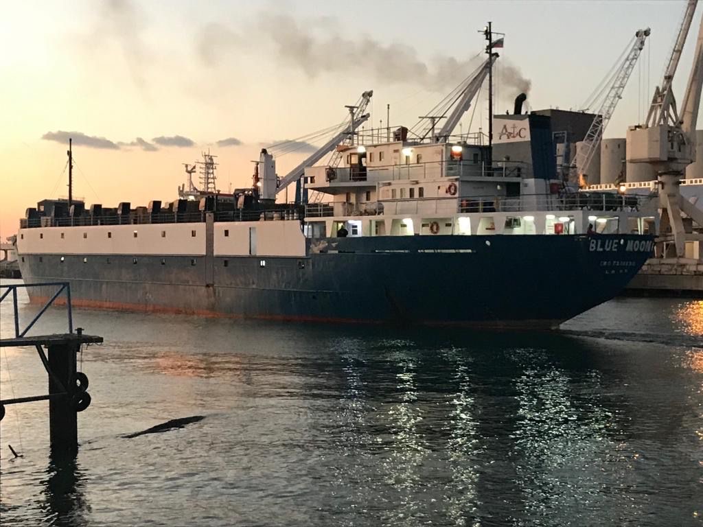 Shipping